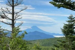 富士山眺望（オーナー様撮影）