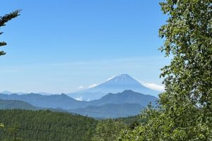 現地から望む富士山