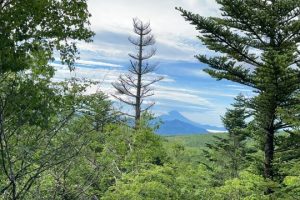 富士山眺望（オーナー様撮影）